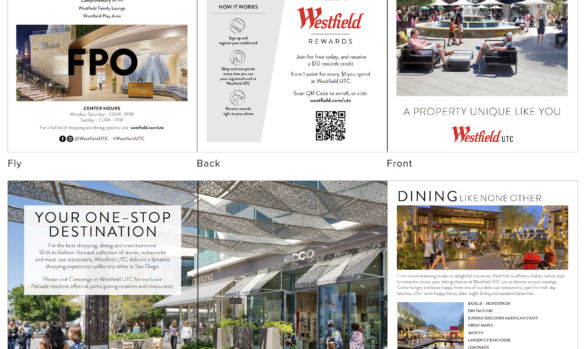 Tri-Fold Brochure