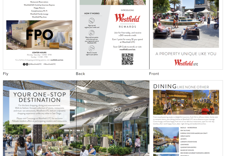 Tri-Fold Brochure