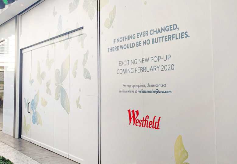 Storefront Window Wrap